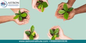 CSR Foundation in India: Building a Better Society Through Corporate Responsibility – BizLoo