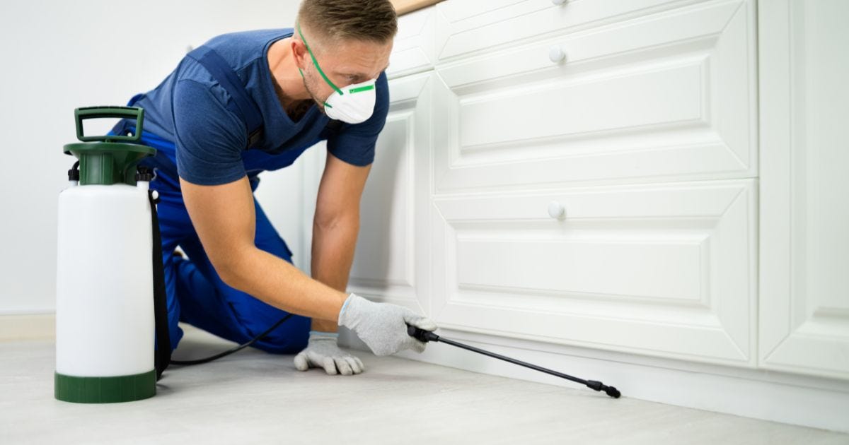Effective Pest Control for Burnside Heights, Keilor Park, and Derrimut: A Complete Guide | by JLS Professional Pest Control | Jul, 2025 | Medium