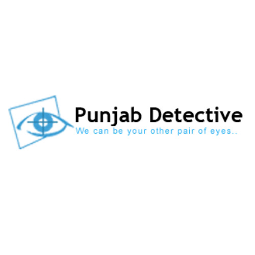 Punjab Detective