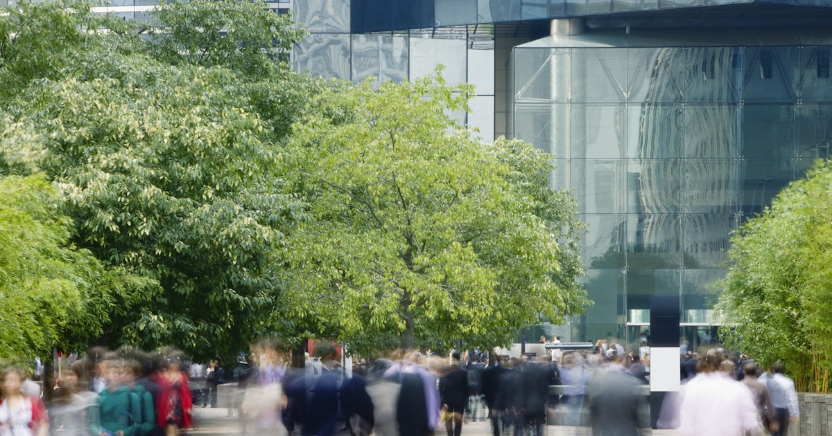 ESG Reporting | ESG Disclosures & Sustainability Report Assurance