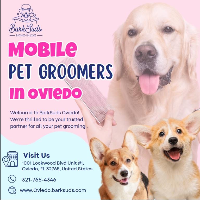 Why More Pet Owners are Choosing Mobile Grooming in Oviedo