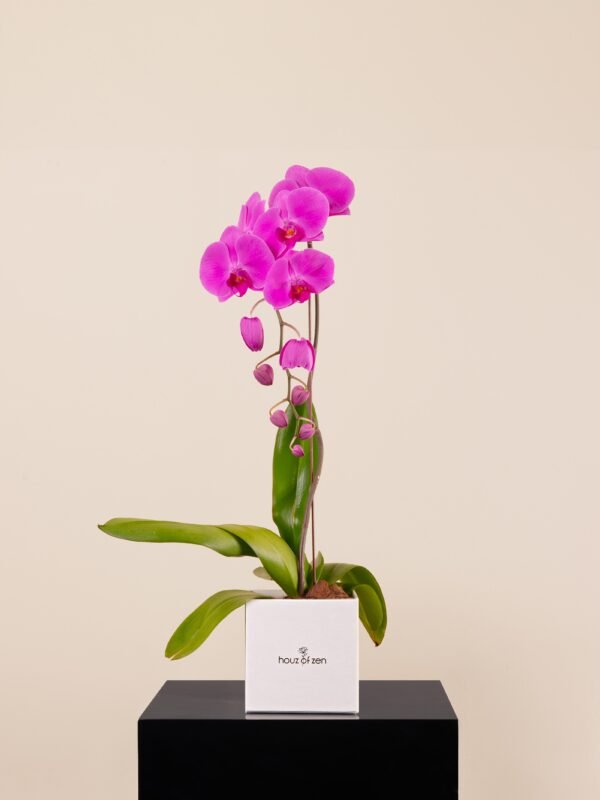 Birthday Flowers Delivery Dubai | Same Day Bouquet Online UAE