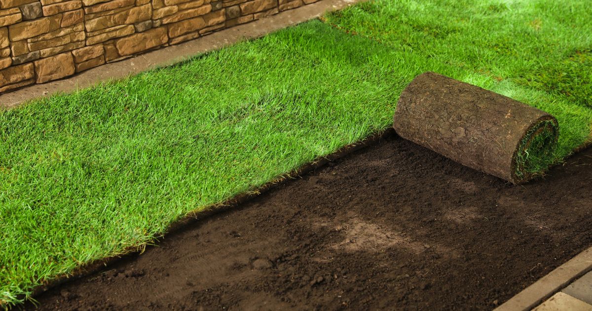 Expert Landscape Solutions in Auckland for Beautiful, Sustainable Outdoor Spaces - ArticleWaves