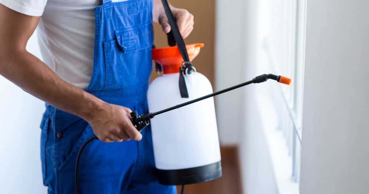 Safe and Effective Pest Solutions for Homes in Caroline Springs - Inspire Journal