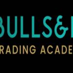 Bullsandbrains Bullsandbrains