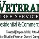 Veteran Tree Services