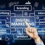 SEO Expert Bellevue
