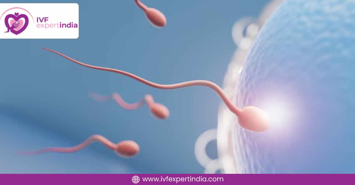 Infertility Treatment for Female: A Complete Guide