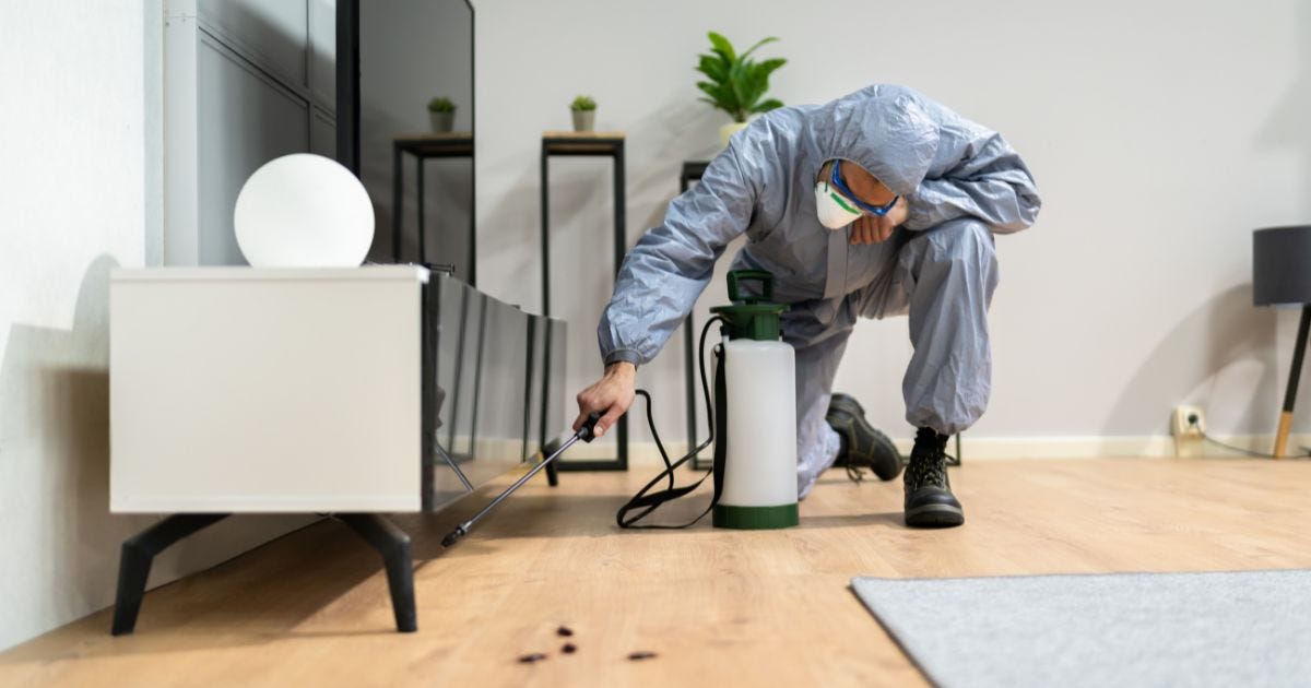 Effective Pest Control Solutions in Craigieburn, Melton Victoria, and Tarneit | by JLS Professional Pest Control | Sep, 2025 | Medium