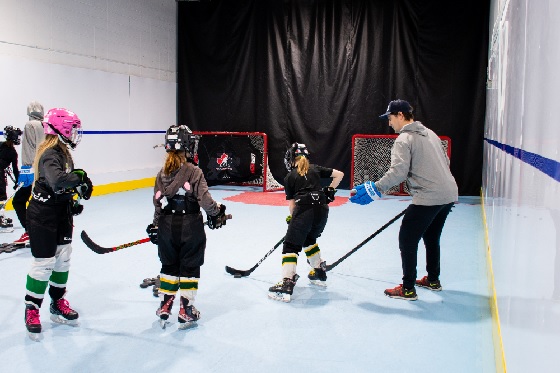 Discover the Joy of Skating and Hockey: prostridehockey — LiveJournal