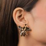 western earrings