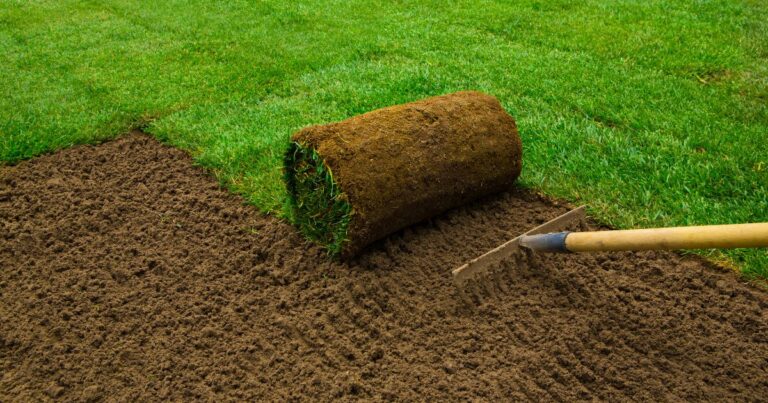 Smart Landscape Solutions in Auckland: Building Greener Spaces for Homes & Businesses - Weebly Blog | Guest Posting/Blogging Site
