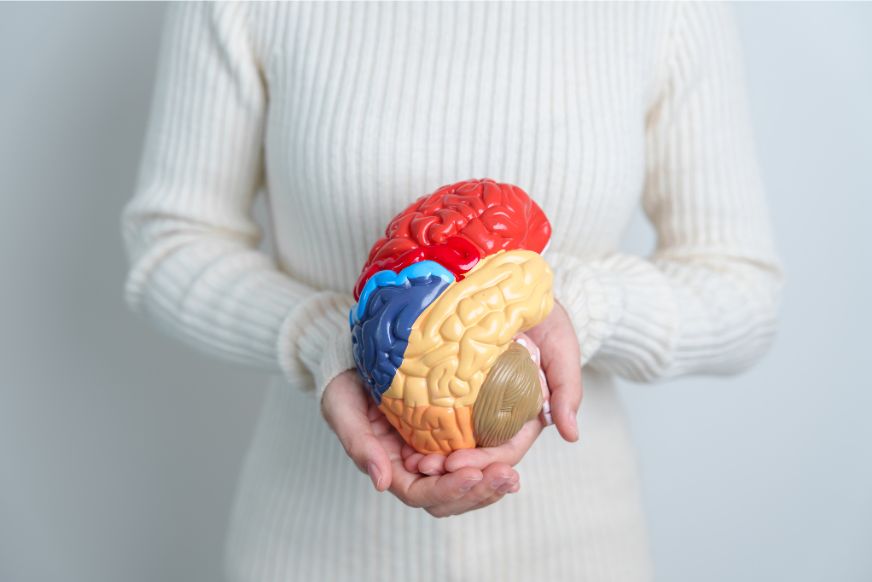 Cannabinoids and Traumatic Brain Injury Recovery: 3+ Amazing Ways