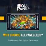 AllPanel Exch