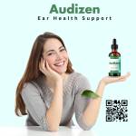 Audizen Review