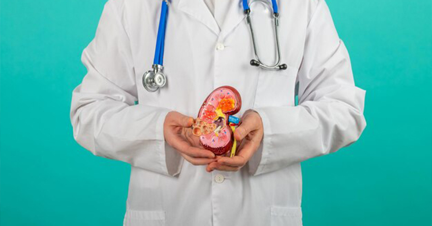 The Role of a Kidney Specialist Doctor in Varanasi in Preventive Healthcare