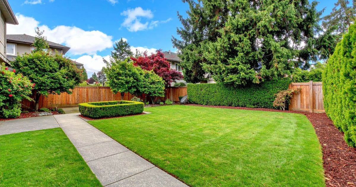 Creating Beautiful, Healthy Outdoor Spaces Across Auckland
