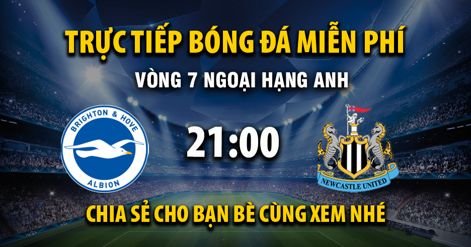Link trực tiếp Brighton vs Newcastle United 21:00, ngày 18/10 - Xoilac365.tv