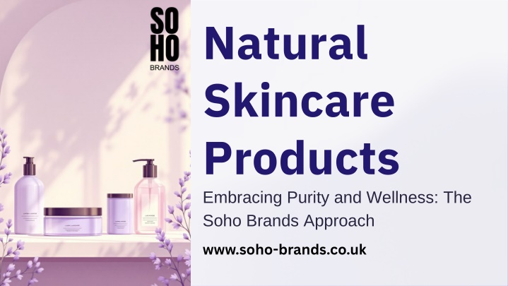 PPT - Natural Skincare Products PowerPoint Presentation, free download - ID:14563356