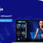 Winexch 504