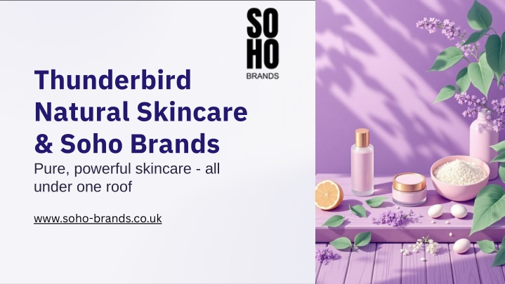 PPT - Thunderbird Natural Skincare & Soho Brands PowerPoint Presentation - ID:14604394