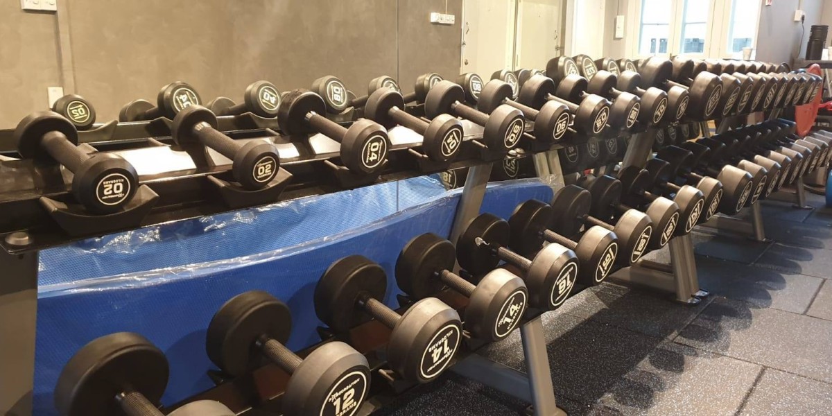 Save Big with Quality Pre-Owned Gym Equipment for Sale – F1 Recreation Pte Ltd