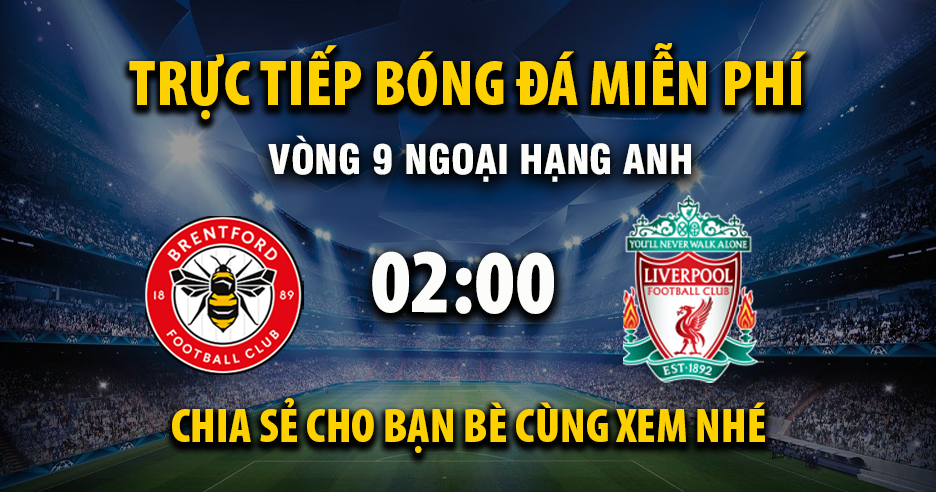 Link trực tiếp Brentford vs Liverpool 02:00, ngày 26/10 - Xoilac365.tv