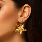 Western earrings