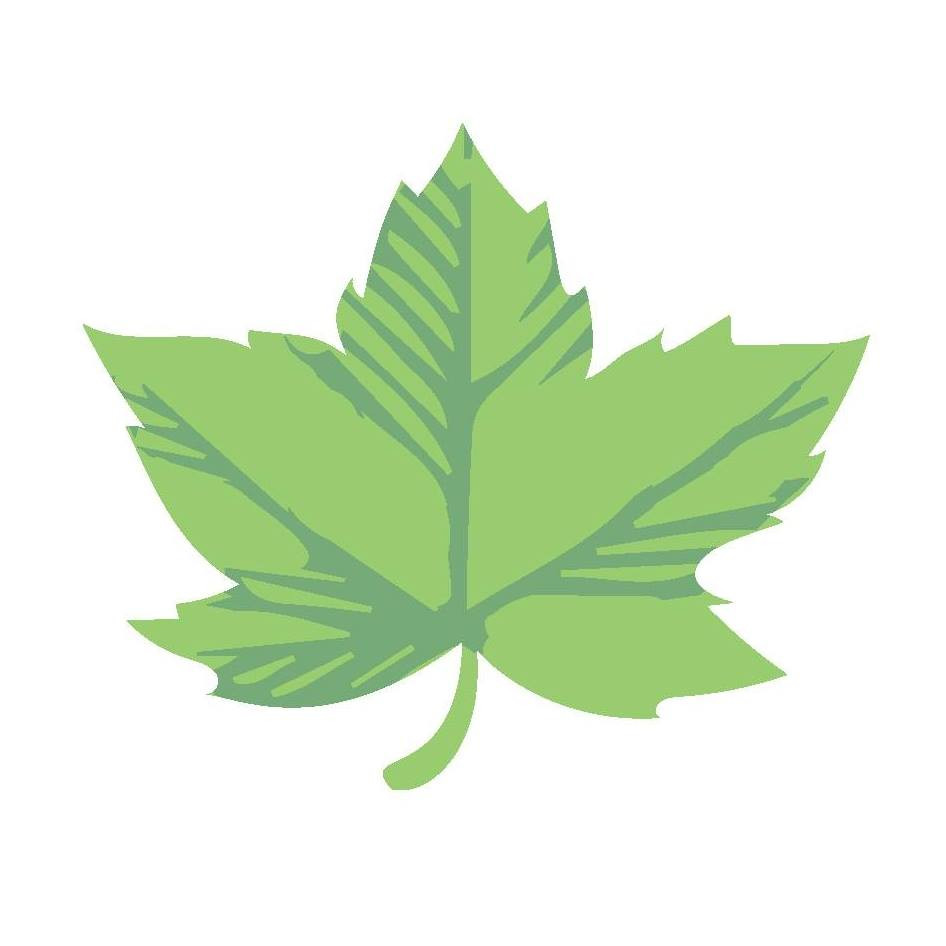 Frontier Tree Services