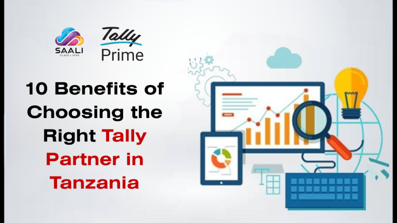 10 Benefits of Choosing the Right Tally Partner in Tanzania: saalisolutions — LiveJournal