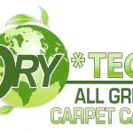 carpet cleaning