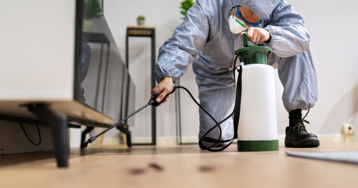 Protect Your Home from Pests with Reliable Experts Near You - Biz DirectoryHub