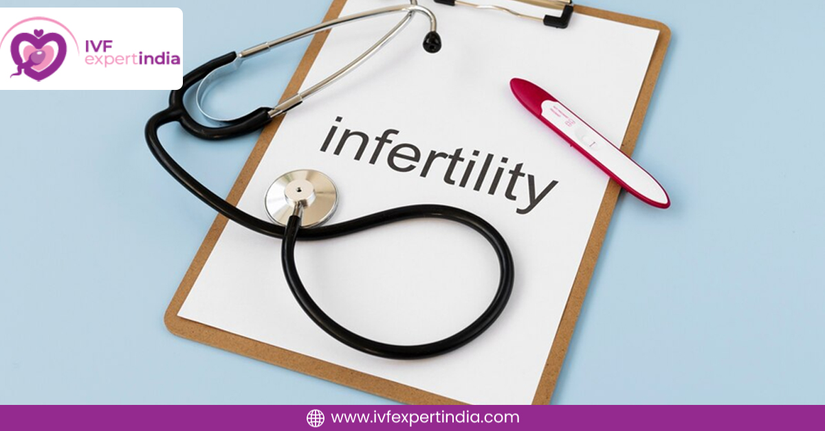 How Fertility Boosting Foods Support Infertility Treatment