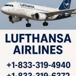 Lufthansa Airlines
