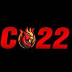 C22 ONE