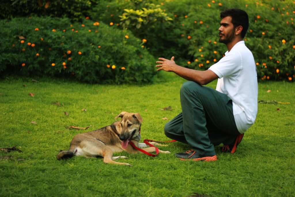 Best Dogs for Home Security | Family Guard Dogs | K9 School