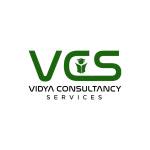Vidya Consultancy Services