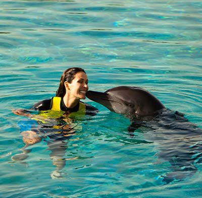 Dubai Dolphinarium Tickets | Experience Dolphin Show | Book Now