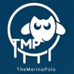 The Merino Polo