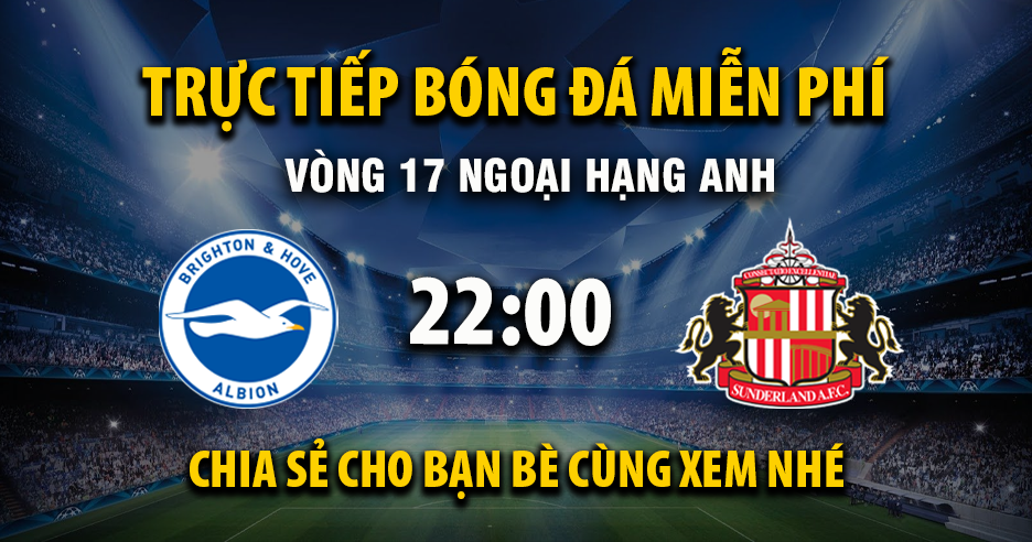 Link trực tiếp Brighton vs Sunderland 22:00, ngày 20/12 - Xoilac365.tv