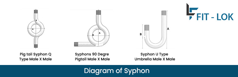 Syphones | High Pressure Gauge Syphon | Q Type Syphon Manufacturer