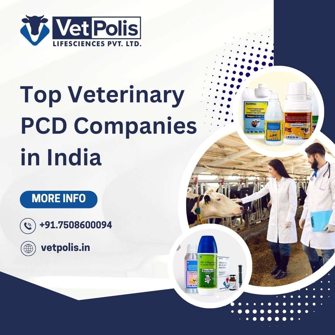 Guide to Starting a Veterinary Pharma Franchise Company in India